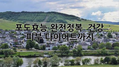 🍇 포도효능 완전정복! ✨ 건강, 피부, 다이어트까지?!