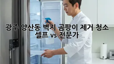 광주 양산동 벽지 곰팡이 제거 청소, 셀프 vs 전문가?