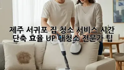 제주 서귀포 집 청소 서비스: 시간 단축, 효율 UP! 대청소 전문가 팁